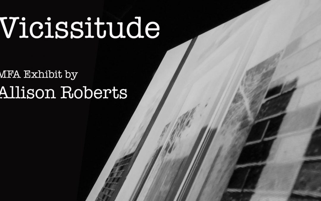 Vicissitude MFA Exhibit by Allison Roberts promo