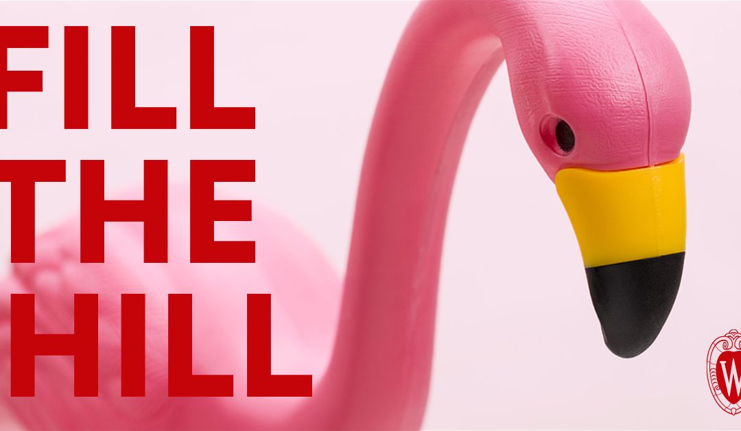 Fill the Hill: Support the Art Lofts Building Fund