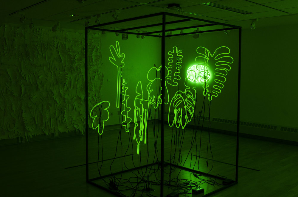 Ben Orozco’s leafy neon lexicon by Scott Gordon