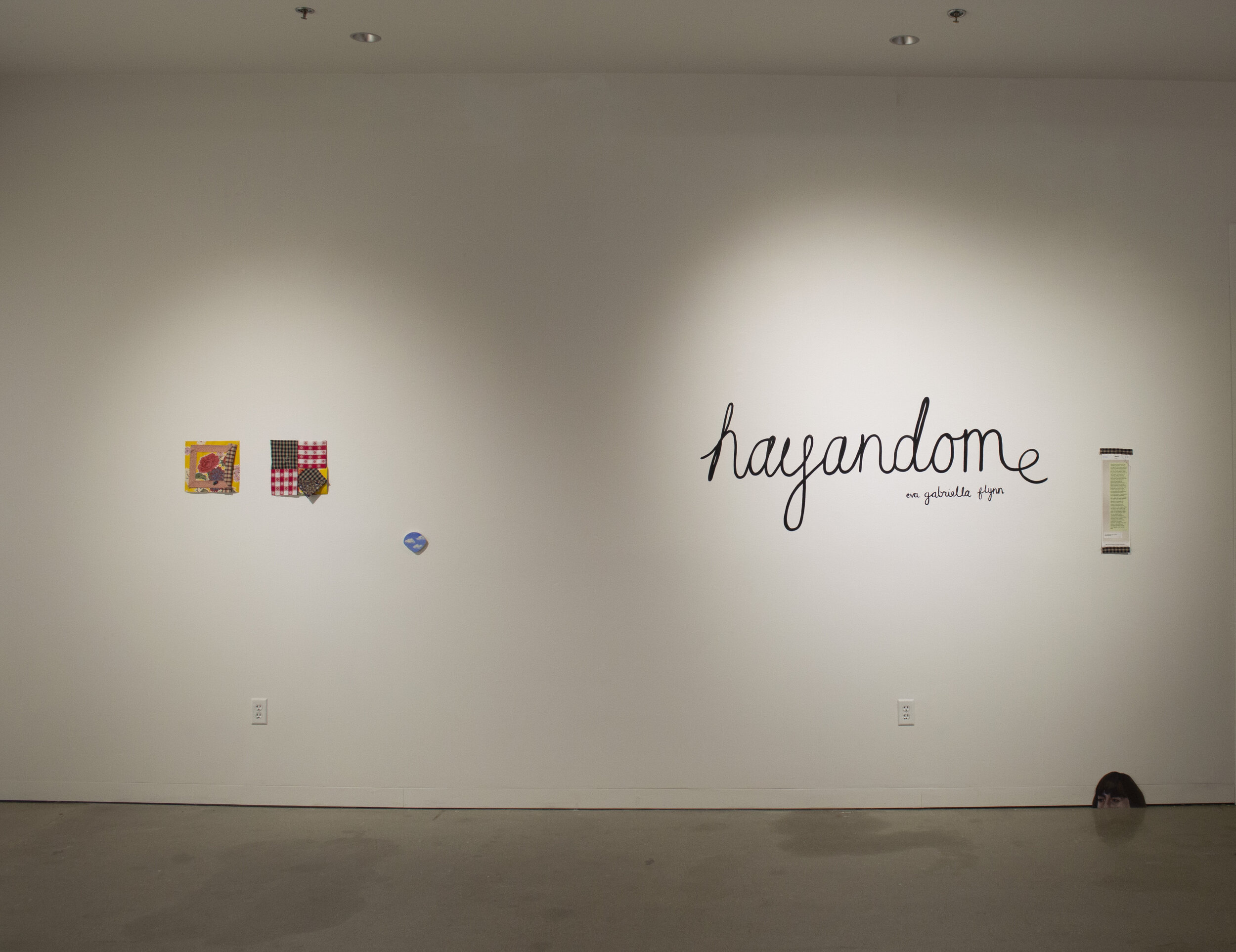 Installation view of hayadome exhibition by Eva Gabriella Flynn